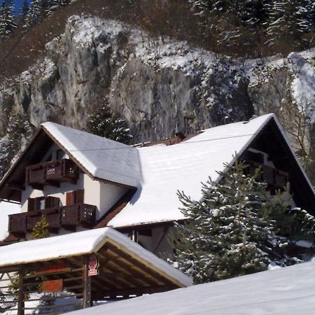 Pr Bevc Hotell Bled Exteriör bild